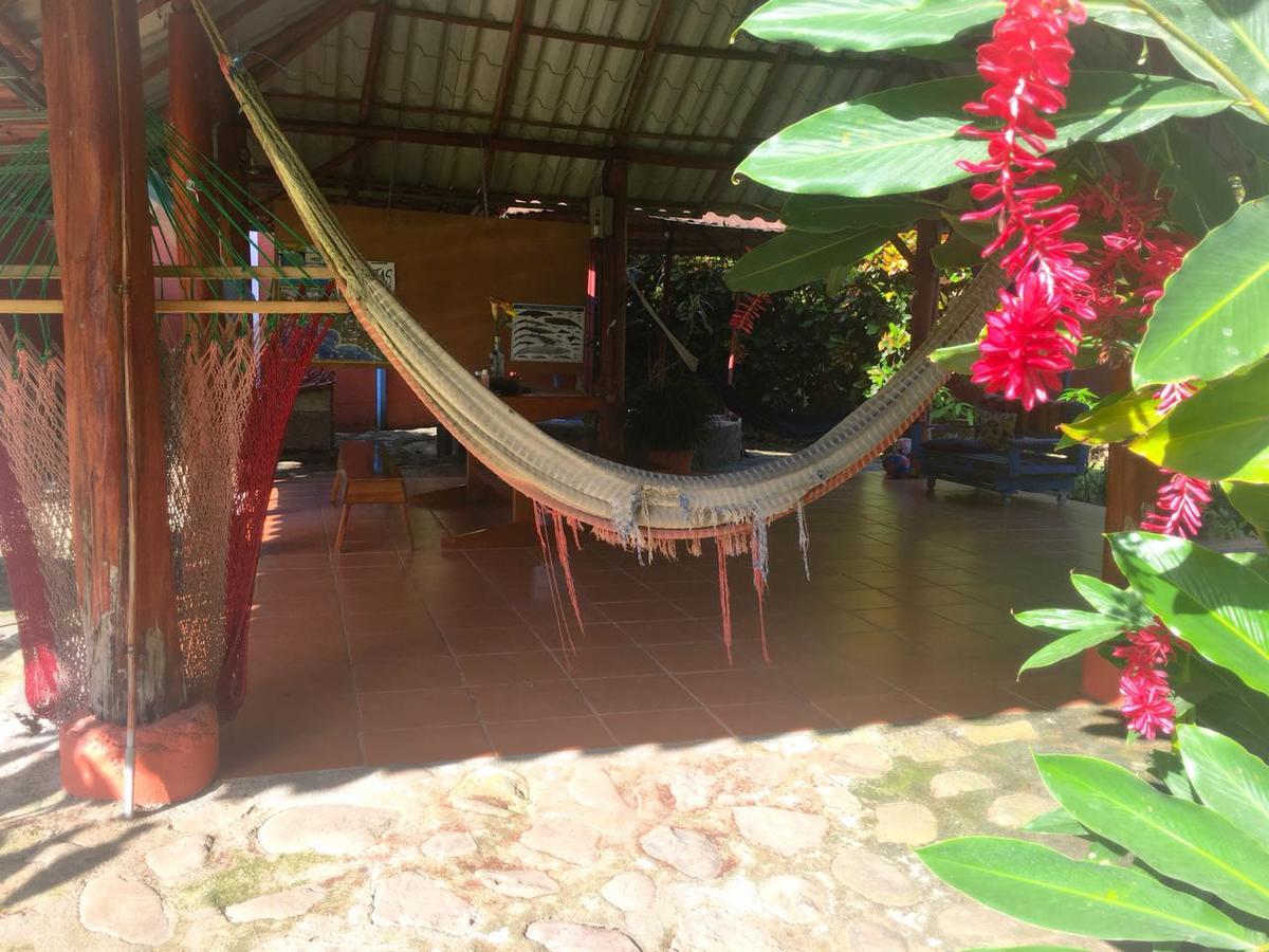 Casa Ballena Eco Hostel Uvita Exterior foto
